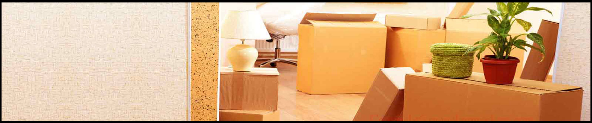 Packers And Movers Noida Sector 135